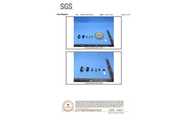 環(huán)保測(cè)試報(bào)告 ROHS+鹵素 CANEC25009106001