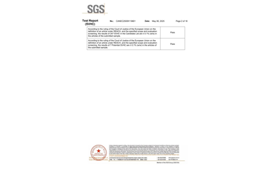環(huán)保測(cè)試報(bào)告 SVHC CANEC25009119801